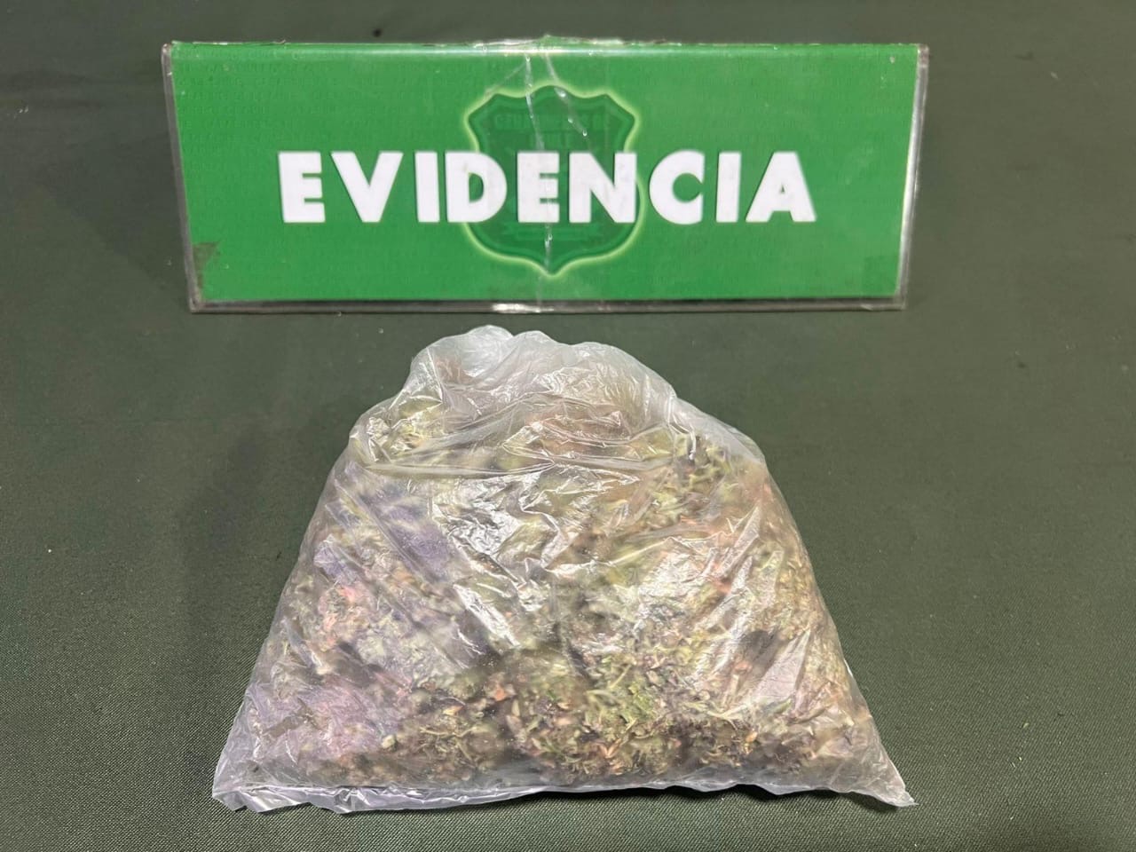 Dos sujetos detenidos en Punta Arenas por porte de marihuana y conducir sin licencia