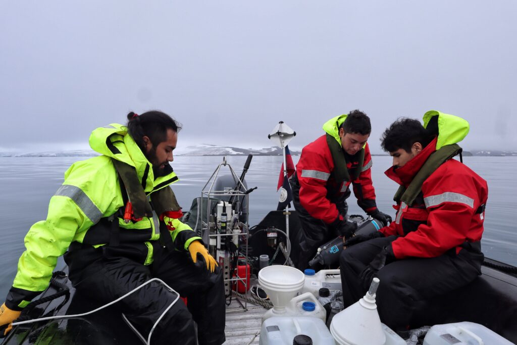 Investigación pionera descubre nuevos virus que podrían impactar en la cadena trófica antártica