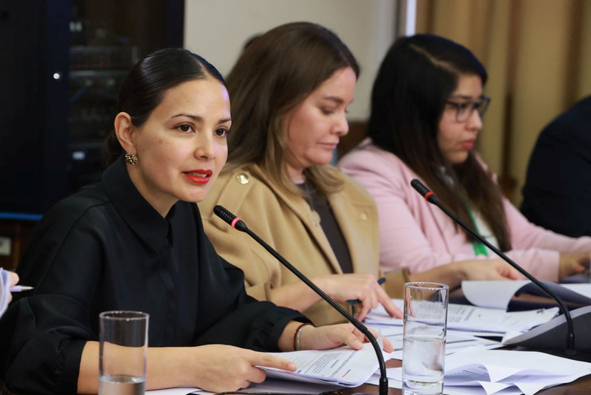Ministra de Cultura abordó en la Cámara de Diputados denuncias y gestión presupuestaria del Ministerio