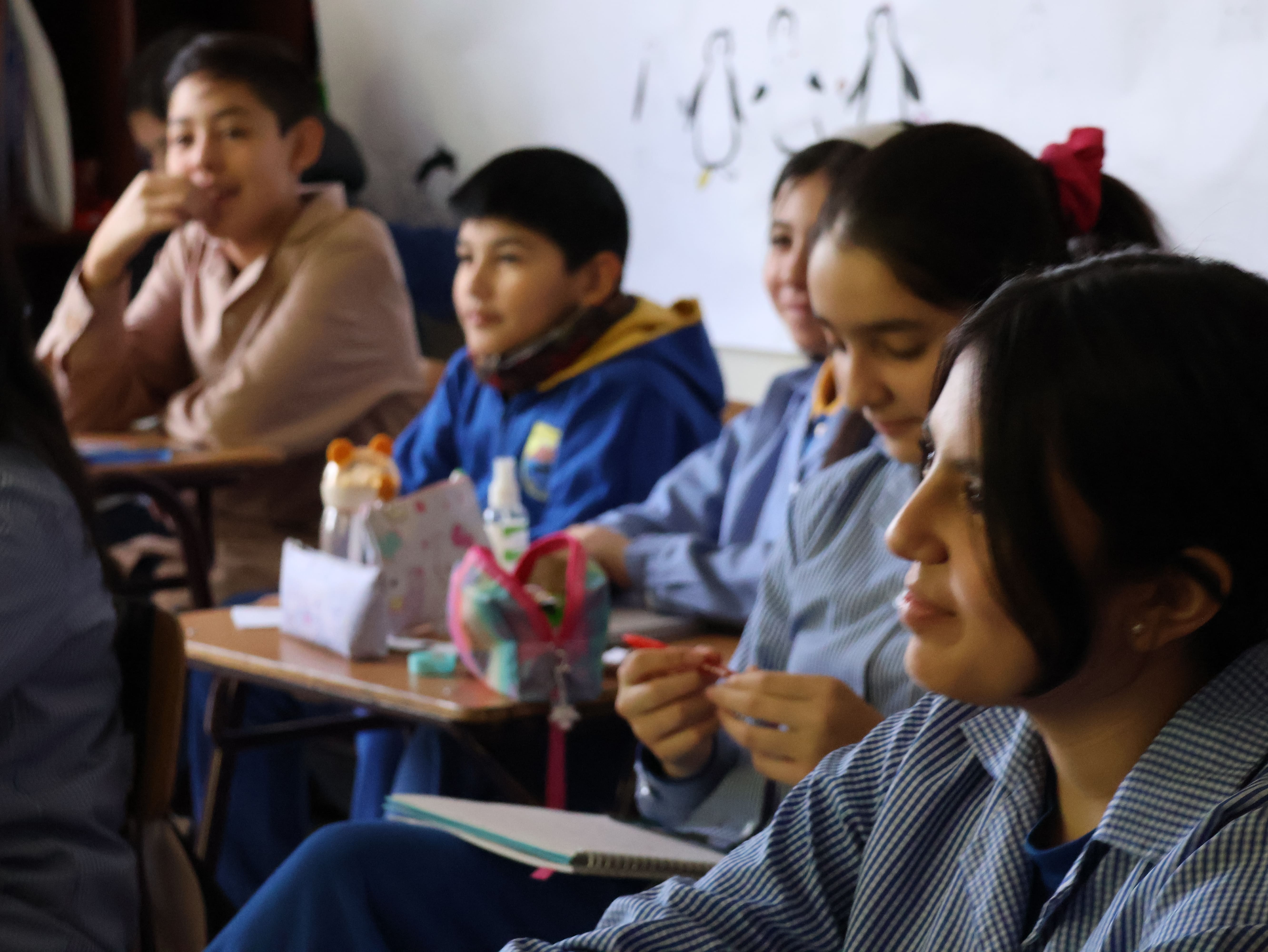 Programa Habilidades para la Vida refuerza salud mental y buena convivencia en escuela Puerto Harris de Isla Dawson del SLEP Magallanes