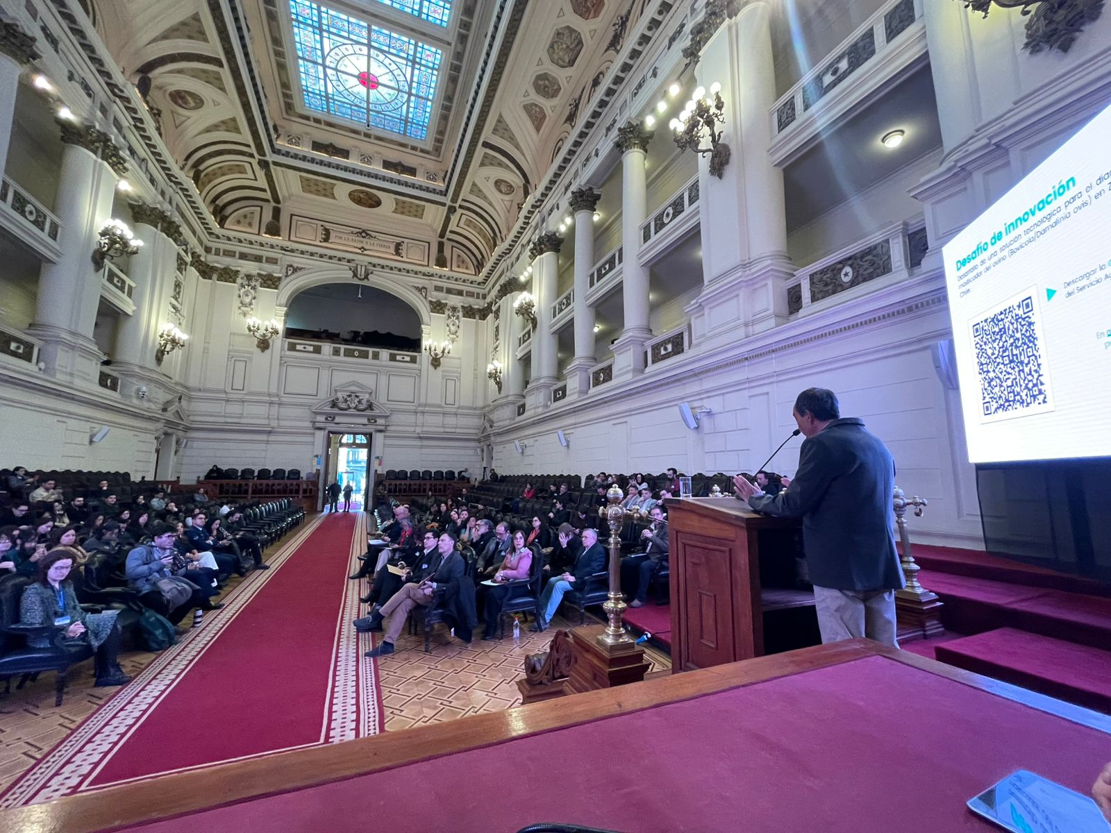 Proyecto de SAG Magallanes es uno de los cuatro finalistas seleccionados en el concurso “Desafíos Públicos 2025”