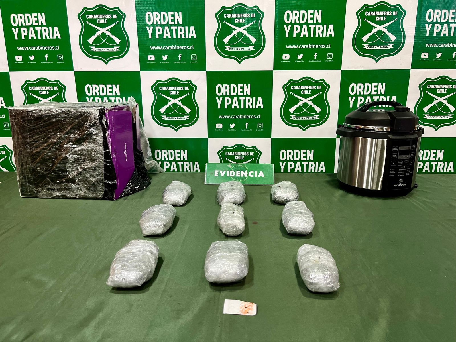 Detienen a joven en Punta Arenas que retiró encomienda con droga enviada desde Antofagasta