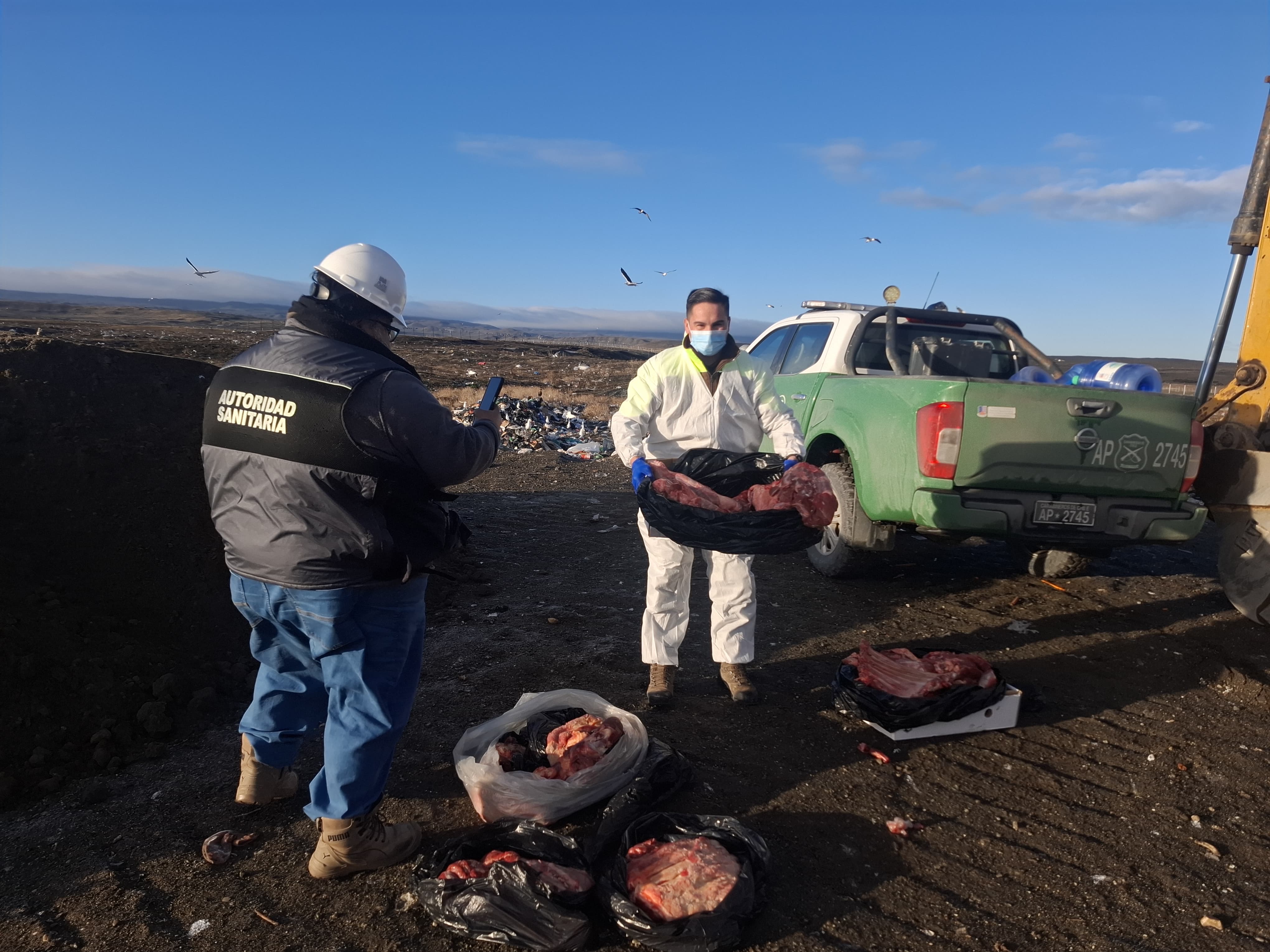 Cinco detenidos tras hallazgo de más de 80 kilos de carne de origen desconocido en bus interurbano en Tierra del Fuego