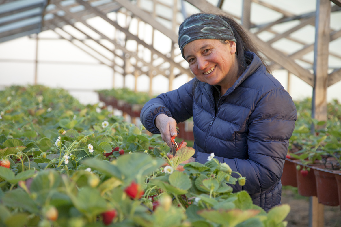 Agroecología en Magallanes, un camino sembrado por mujeres que cultivan el cambio