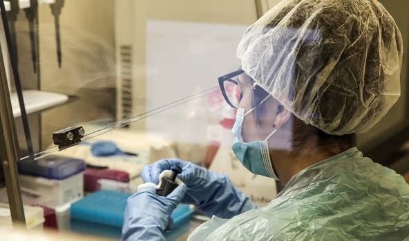 Laboratorio del Hospital de Natales proyecta cerca de 300 mil exámenes para este 2025