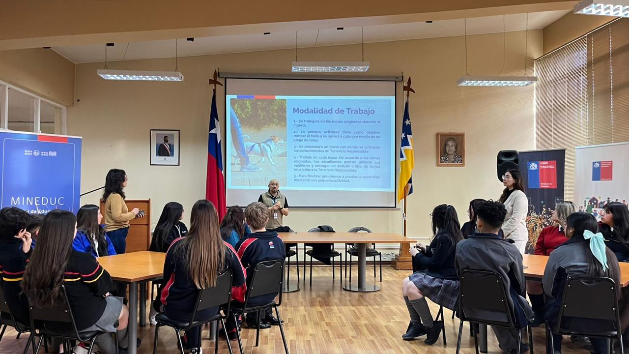 SUBDERE lanza consulta ciudadana para actualizar reglamento de la Ley Cholito