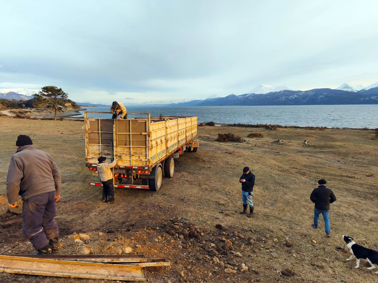 Después de dos décadas, el ganado vuelve a zarpar desde Puerto Williams
