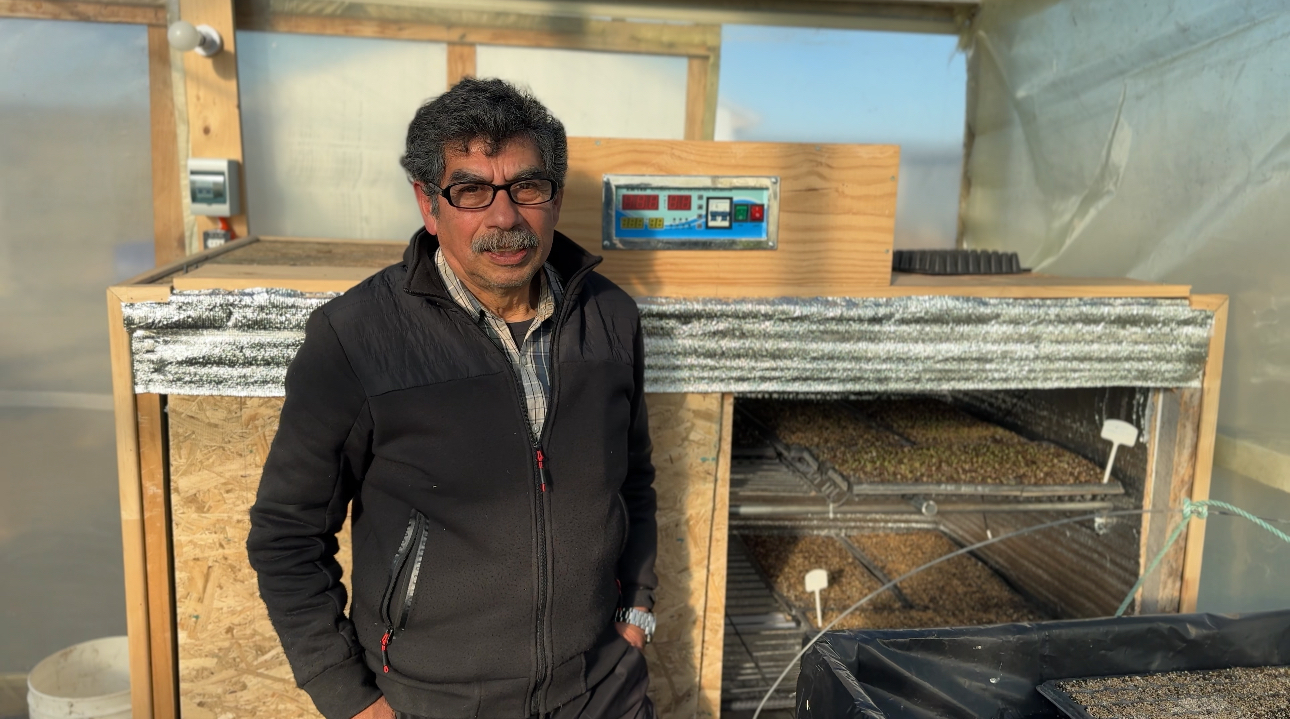 Germinador de semillas “made in Tierra del Fuego” abre nuevas oportunidades a los agricultores de la isla