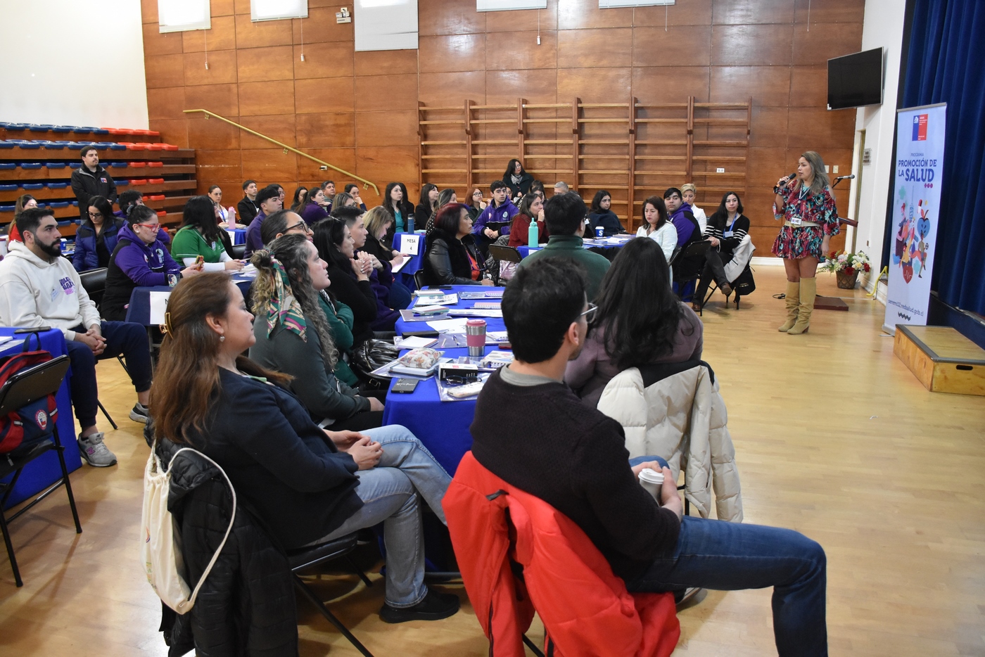 Con diálogo ciudadano Magallanes participa en proceso de renovación del ícono de las guías alimentarias para Chile