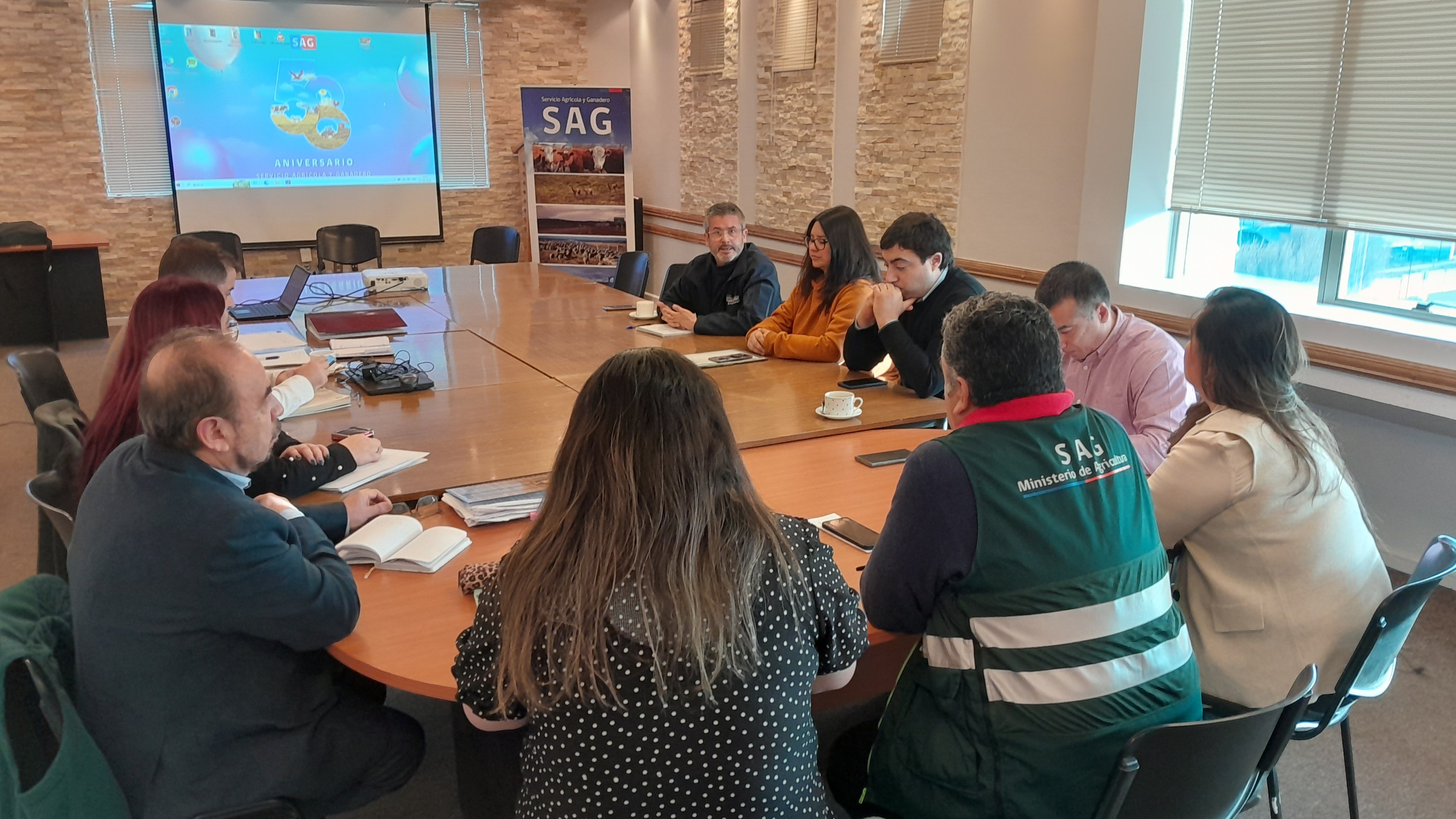 SAG Magallanes y Municipalidad de Punta Arenas avanzan en trabajo conjunto por la problemática de equinos en la vía pública