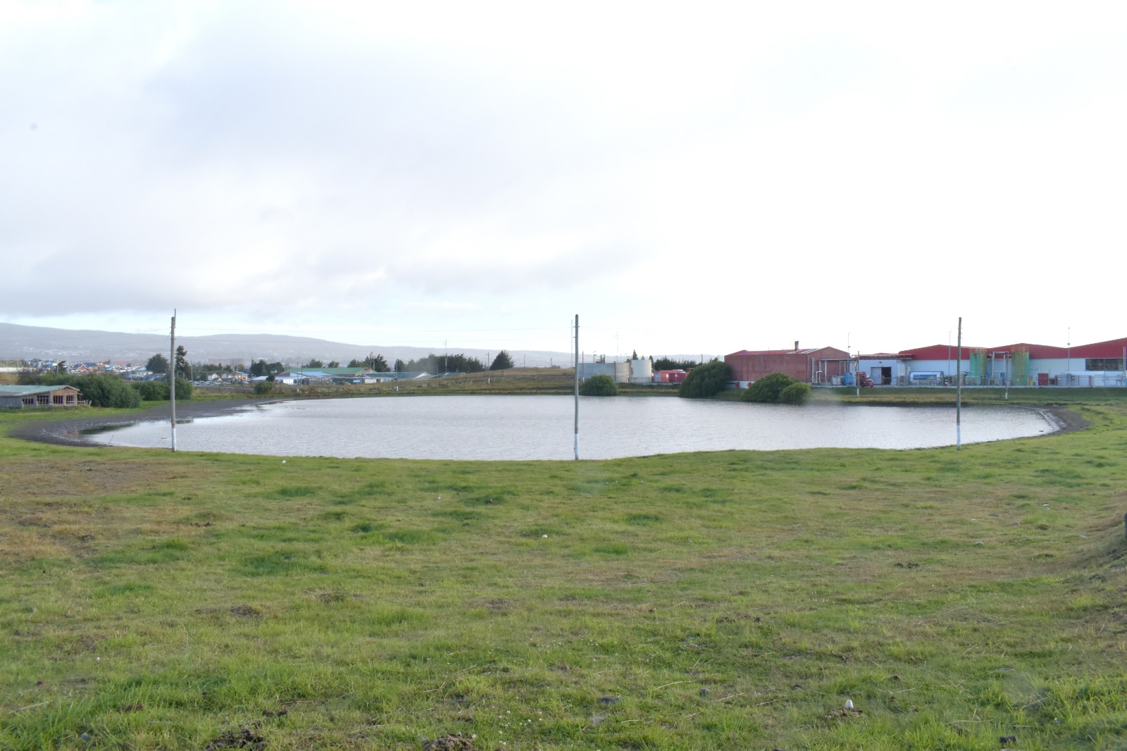 Comunidad denuncia grave amenaza al Humedal Urbano Pudeto – Cerro de la Cruz de Punta Arenas: «exigimos fiscalización y protección inmediata»