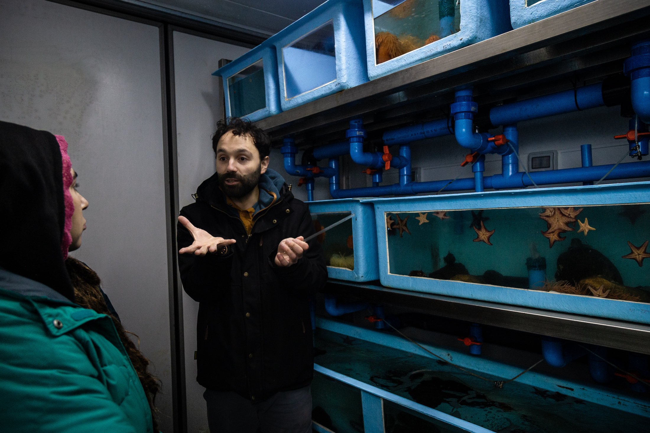 El acuario del futuro Centro Antártico Internacional: una ventana a la vida oculta del océano Austral