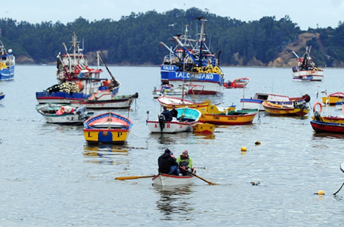 Pesca artesanal pide a Contraloría liberar ley de remanentes pesqueros