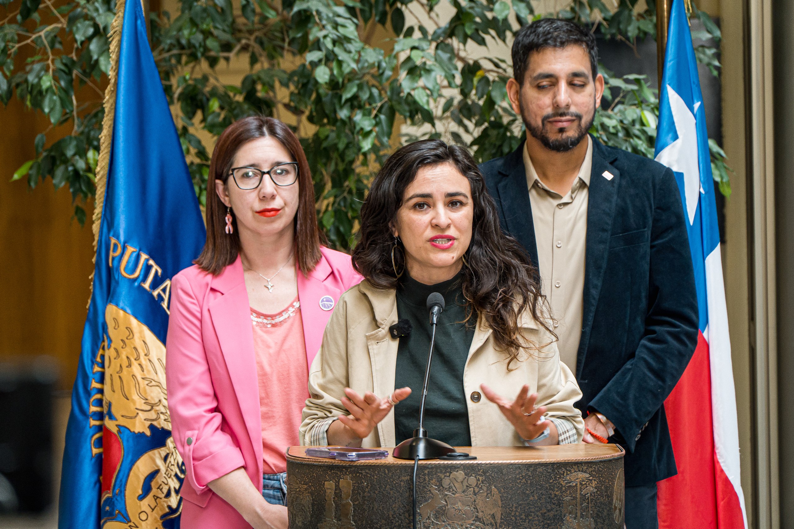 Declaran admisible el proyecto de la diputada Morales para devolver los montos pagados en exceso de las cuentas de la luz en una cuota