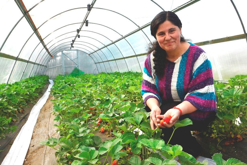 Agricultora magallánica lleva el sabor del calafate a la ExpoMundoRural en Santiago  