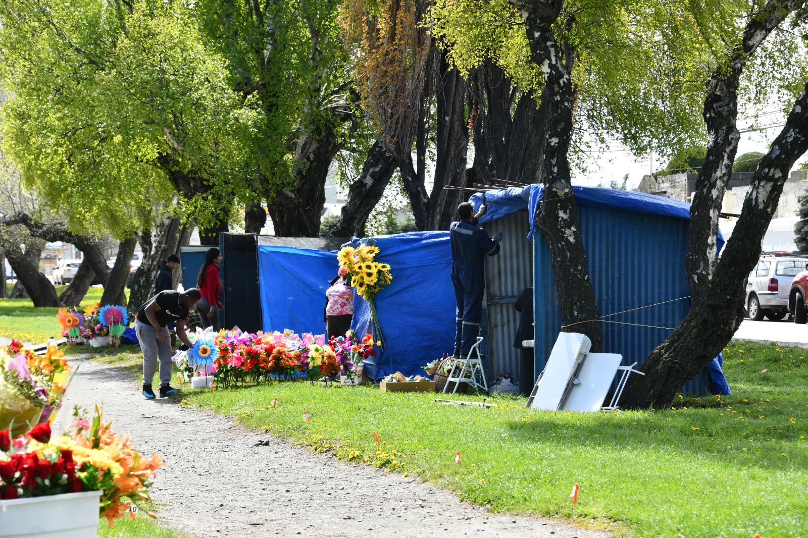 Comenzó instalación de puestos por Día de Todos los Santos