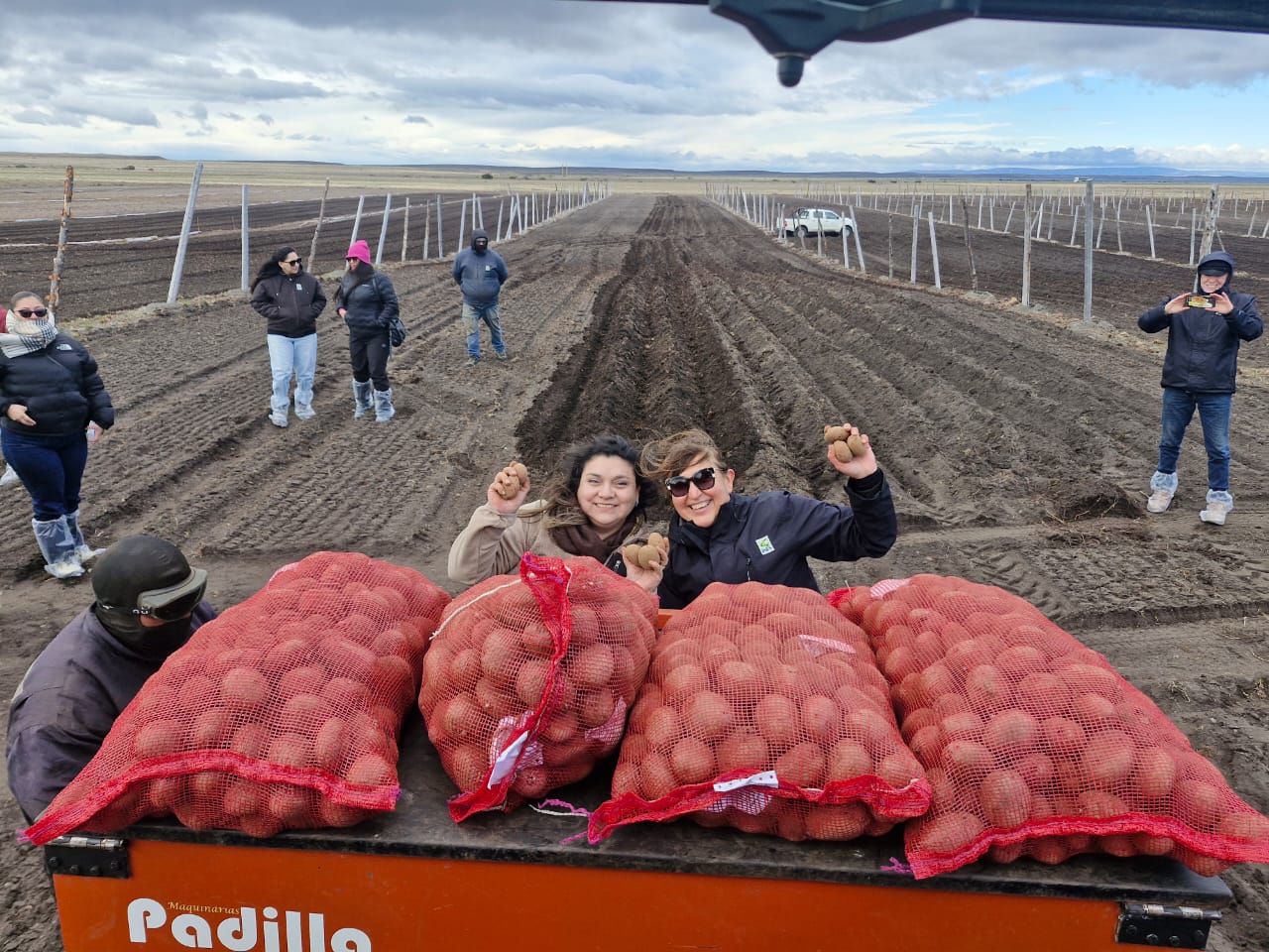 Seremi de Agricultura destaca plantación de 5 hectáreas realizadas por el equipo del Programa Papa, en el semillero más austral del mundo