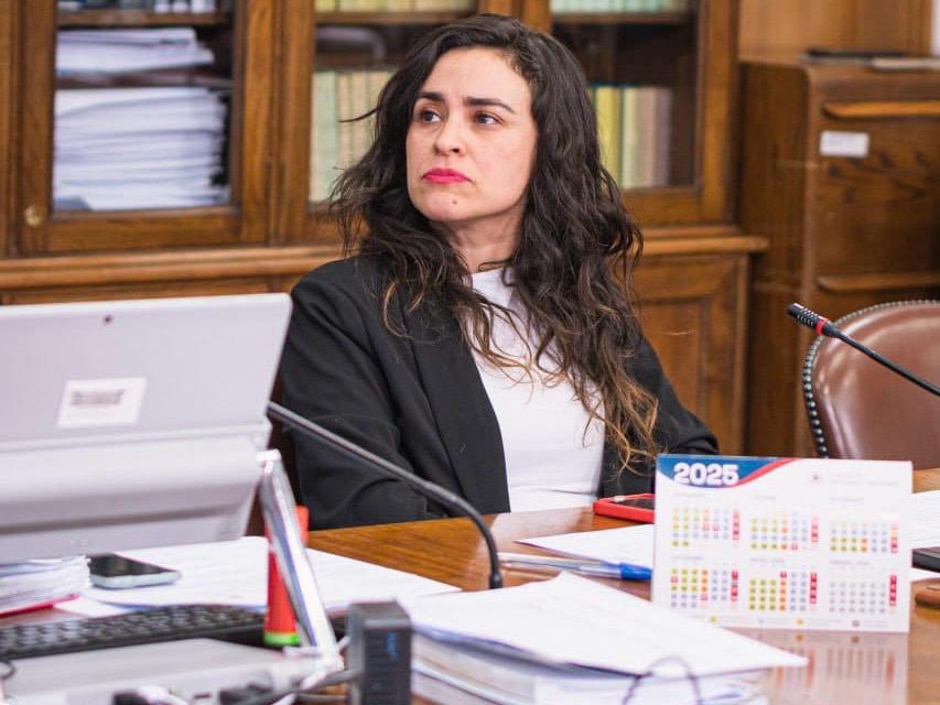 Diputada Javiera Morales destaca aprobación del Fondema 2.0 y avance en impulso al hidrógeno verde para Magallanes