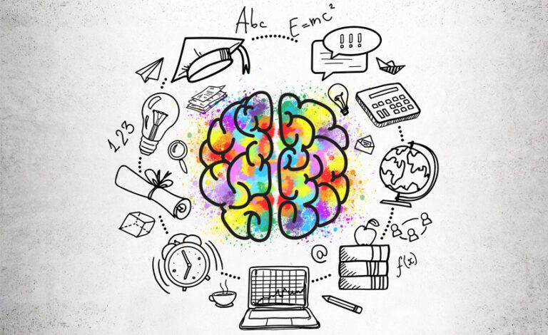 Neuroeducación: Qué dice la ciencia sobre la memoria