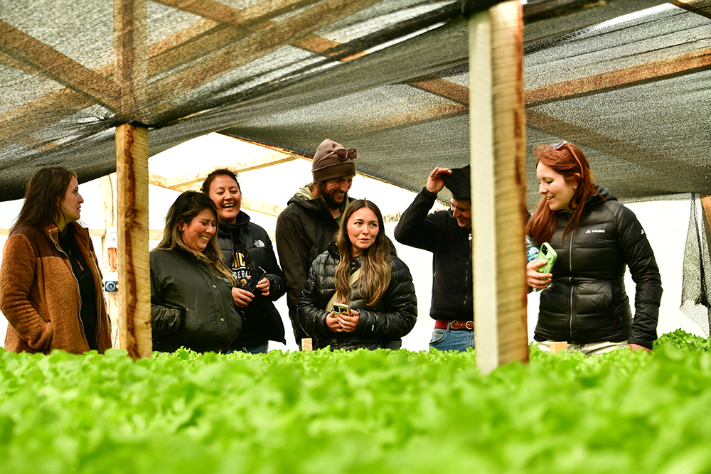 Aysén, Los Lagos y Magallanes se ponen de acuerdo para fijar ruta de la agricultura del extremo sur