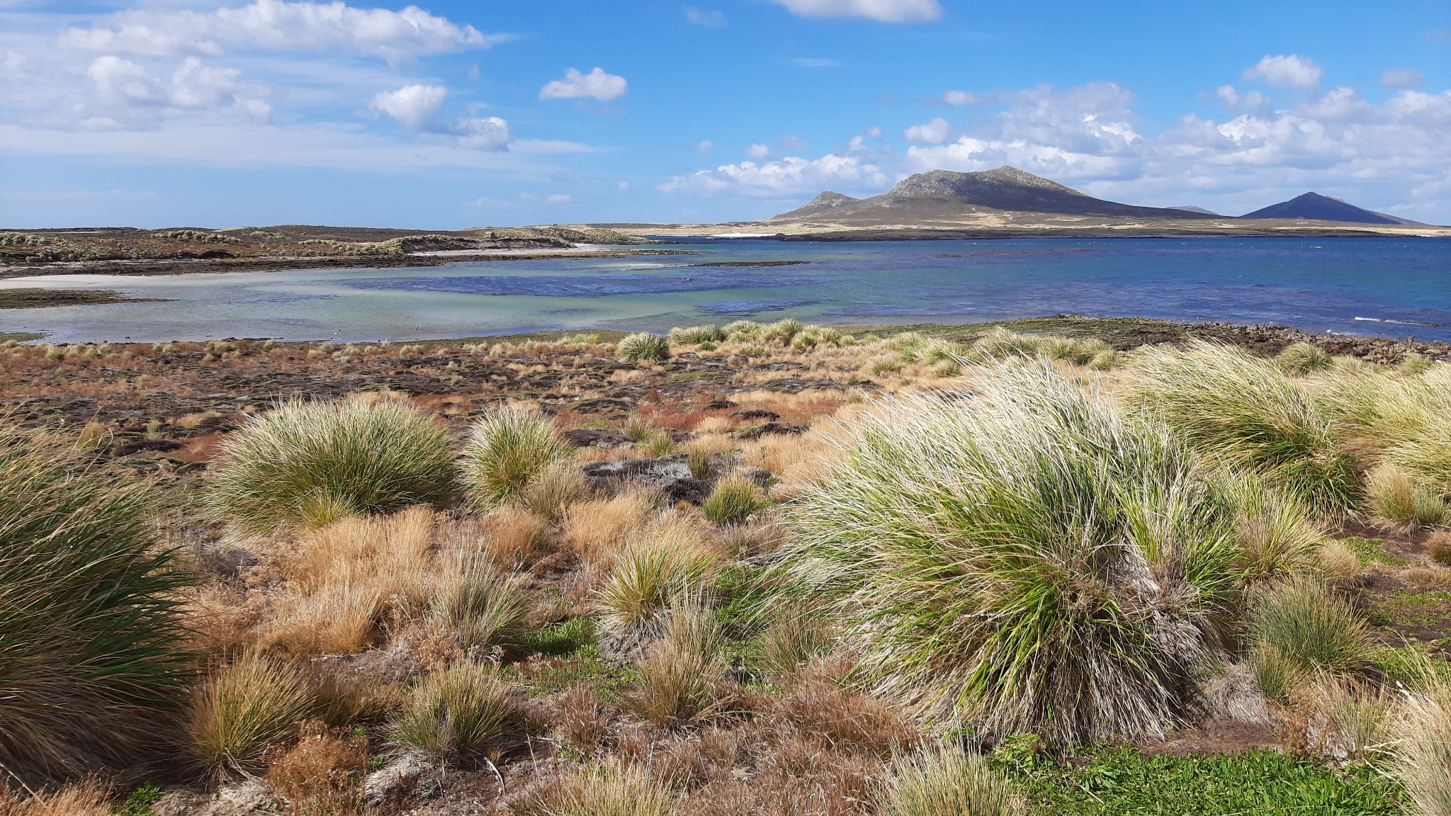 Se conmemora el Día de la Remembranza en las islas Falklands/Malvinas