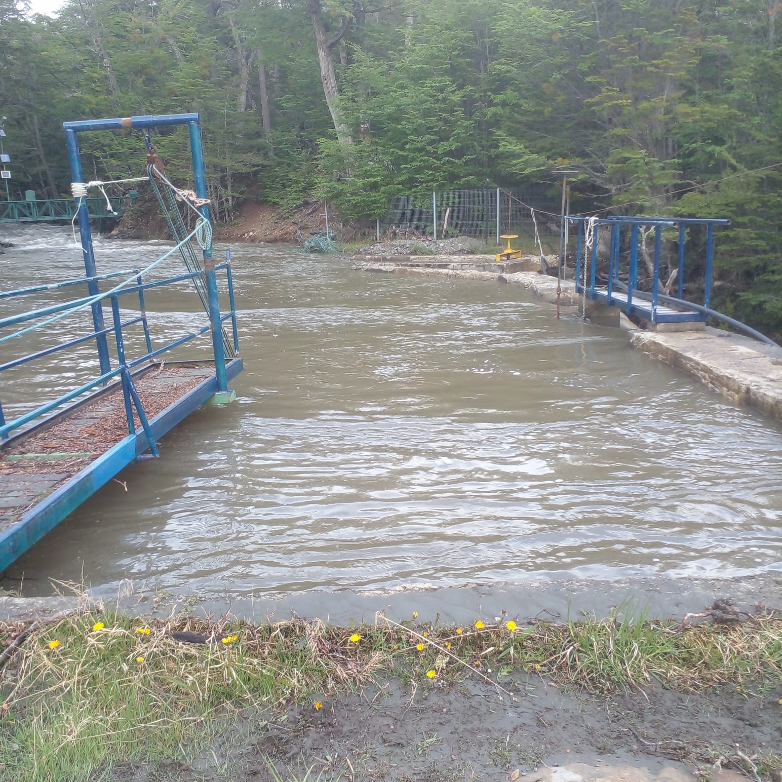 Aguas Magallanes trabaja para resolver situación de turbiedad en suministro de agua de Puerto Williams