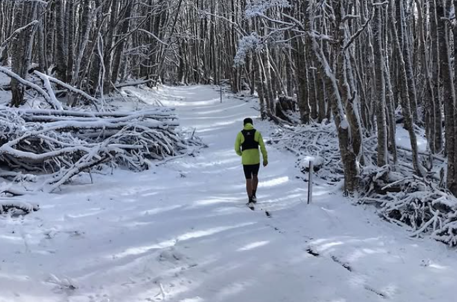 Microhábitos que transforman tu día en 5 minutos