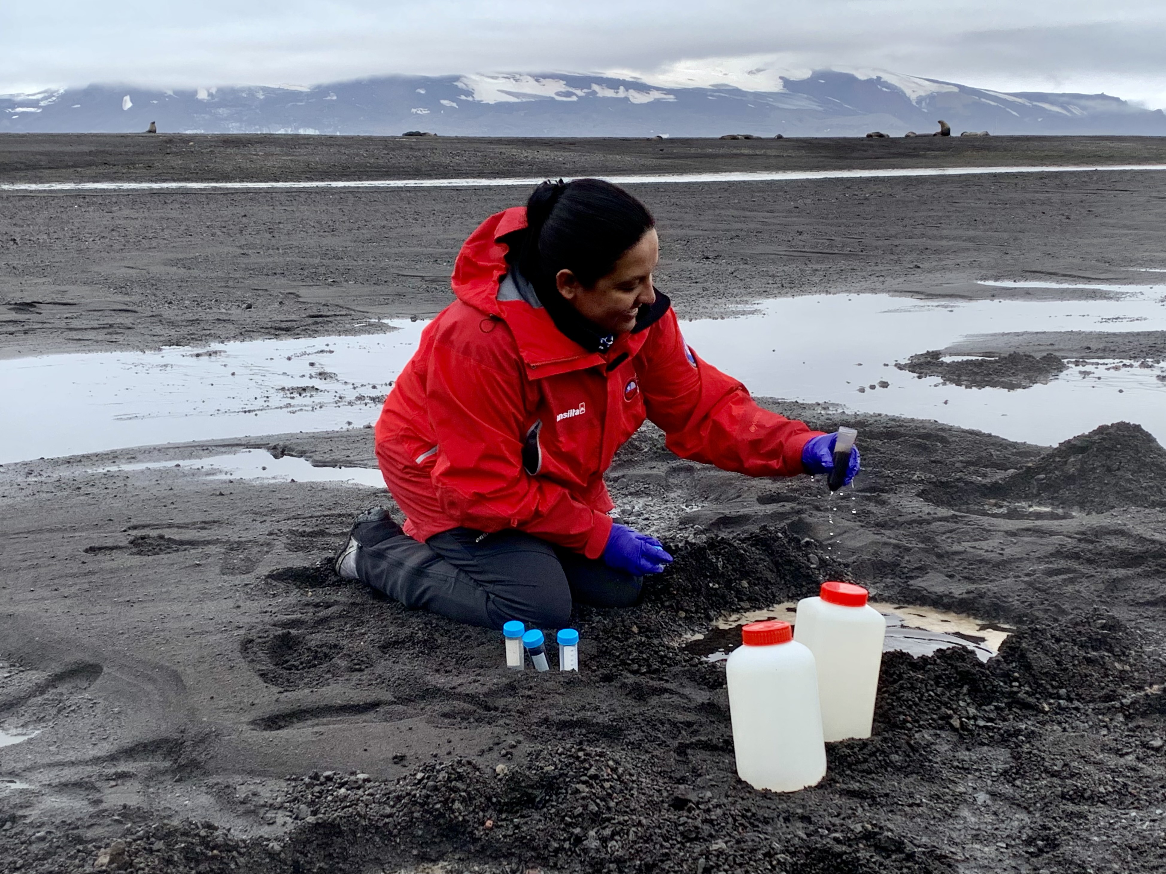 Descubren en bacterias antárticas un aditivo natural con potencial de revolucionar la industria alimentaria