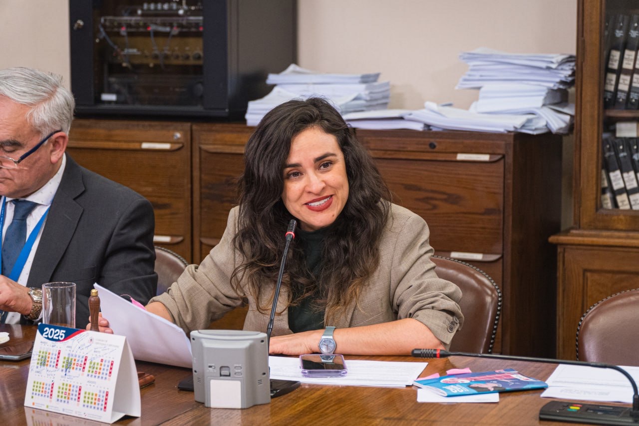 Diputada Javiera Morales solicita a la Subdere recursos para fortalecer programas de tenencia responsable en Punta Arenas