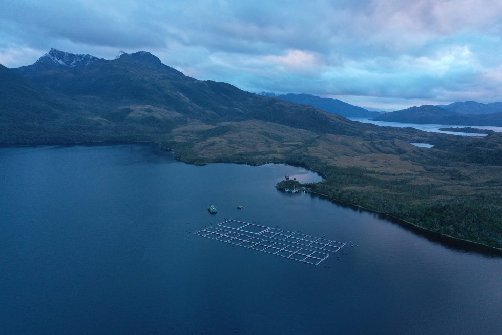 Estudio alerta: Producción salmonera crece siete veces más rápido al interior de áreas protegidas que en zonas sin protección