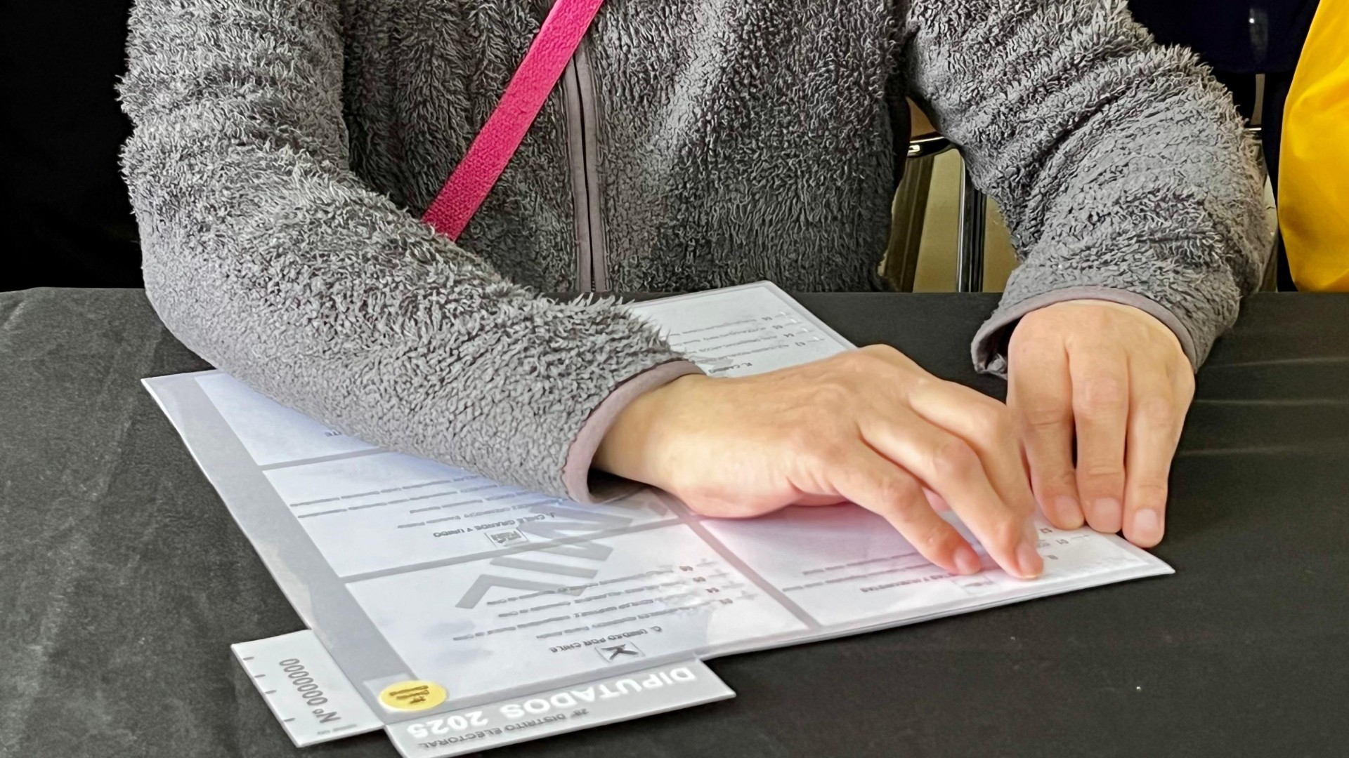 Gobierno difunden medidas de inclusión para las elecciones Presidenciales y Parlamentarias 2025