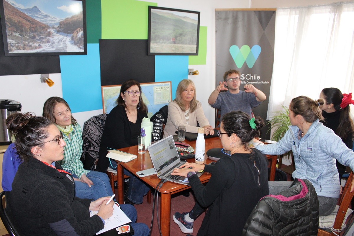 Taller de gobernanza busca fortalecer la red de trabajo binacional para la conservación de turberas de la Patagonia