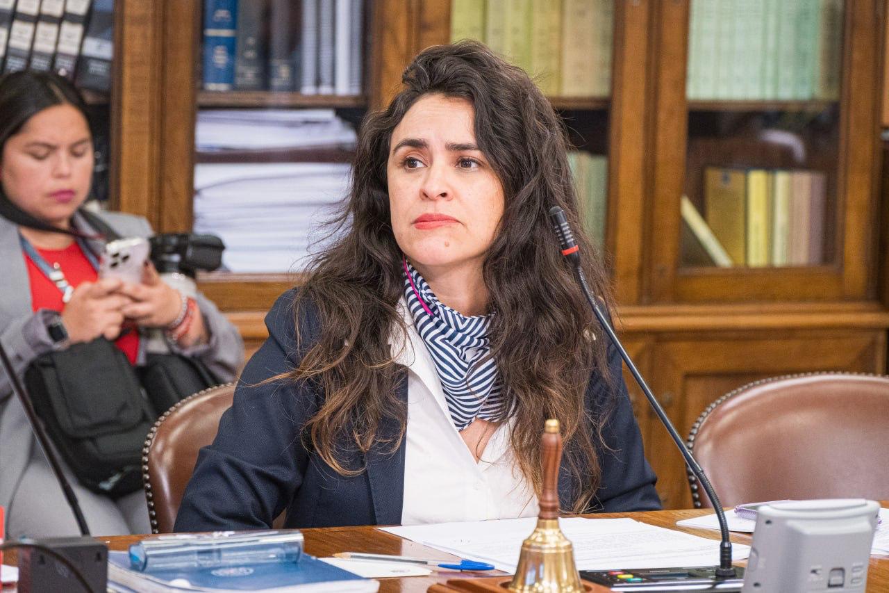 CONAF expone en la Cámara de Diputados por tragedia en el Parque Nacional Torres del Paine