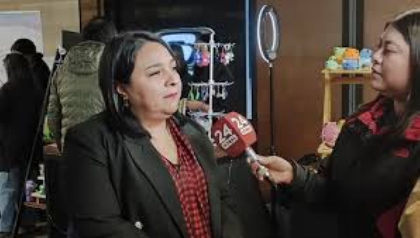 Directora Regional del SERNAMEG por femicidio ocurrido en Punta Arenas «La violencia contra las mujeres es un  delito de seguridad pública»