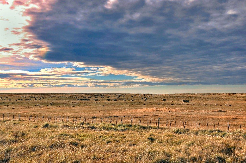 Con 38 campesinos y un fuerte impulso a la agroecología, se lanzó en Magallanes el Programa de Transición a la Agricultura Sostenible