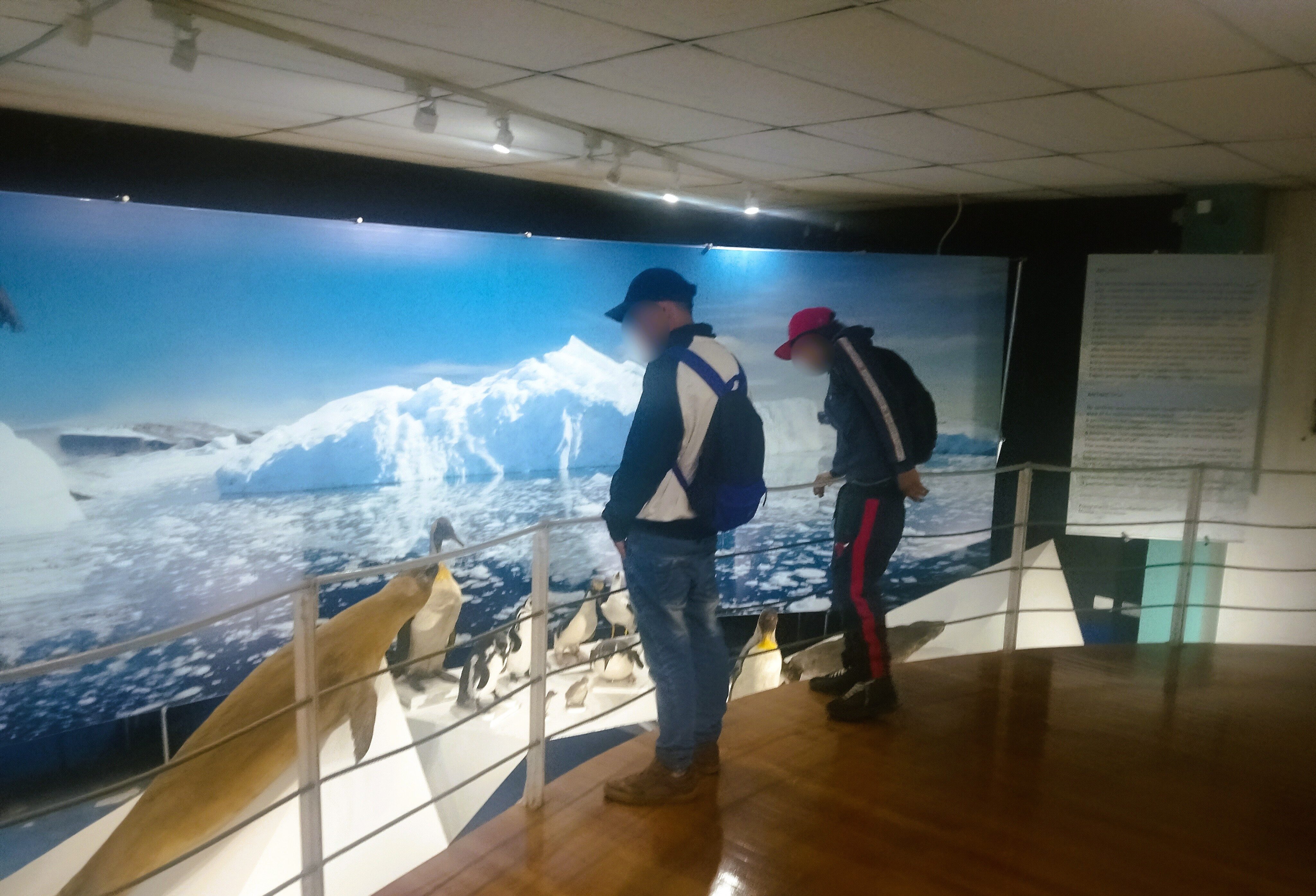Jóvenes en reinserción viven experiencia cultural en Museo Maggiorino Borgatello de Punta Arenas