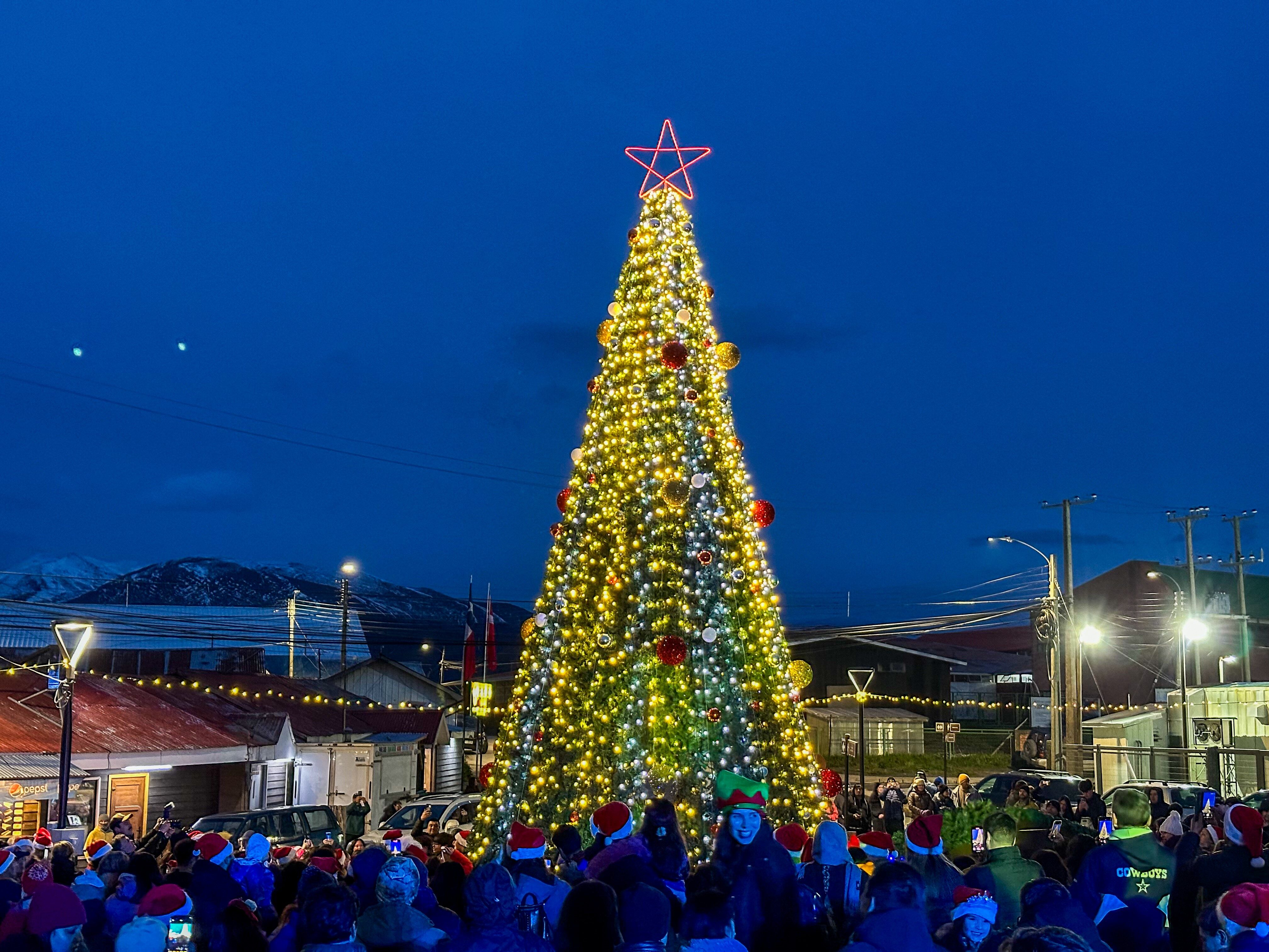 En Puerto Williams se encendió el árbol de Navidad más austral del mundo