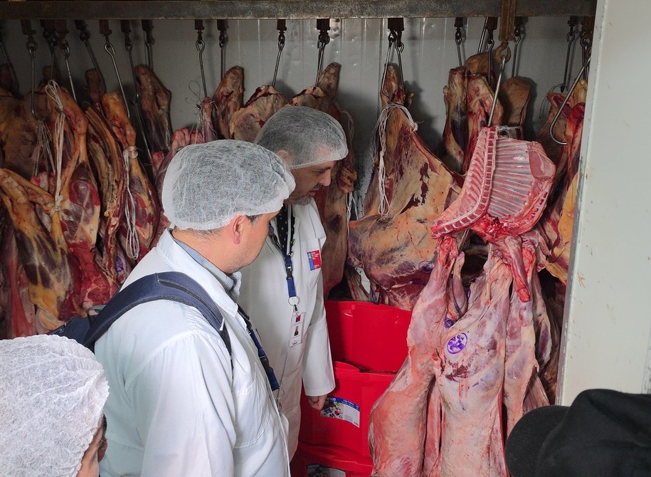 Seremi de Salud y SAG intensifican inspecciones para verificar la inocuidad, trazabilidad y correcta conservación de productos cárneos ante el aumento del consumo.
