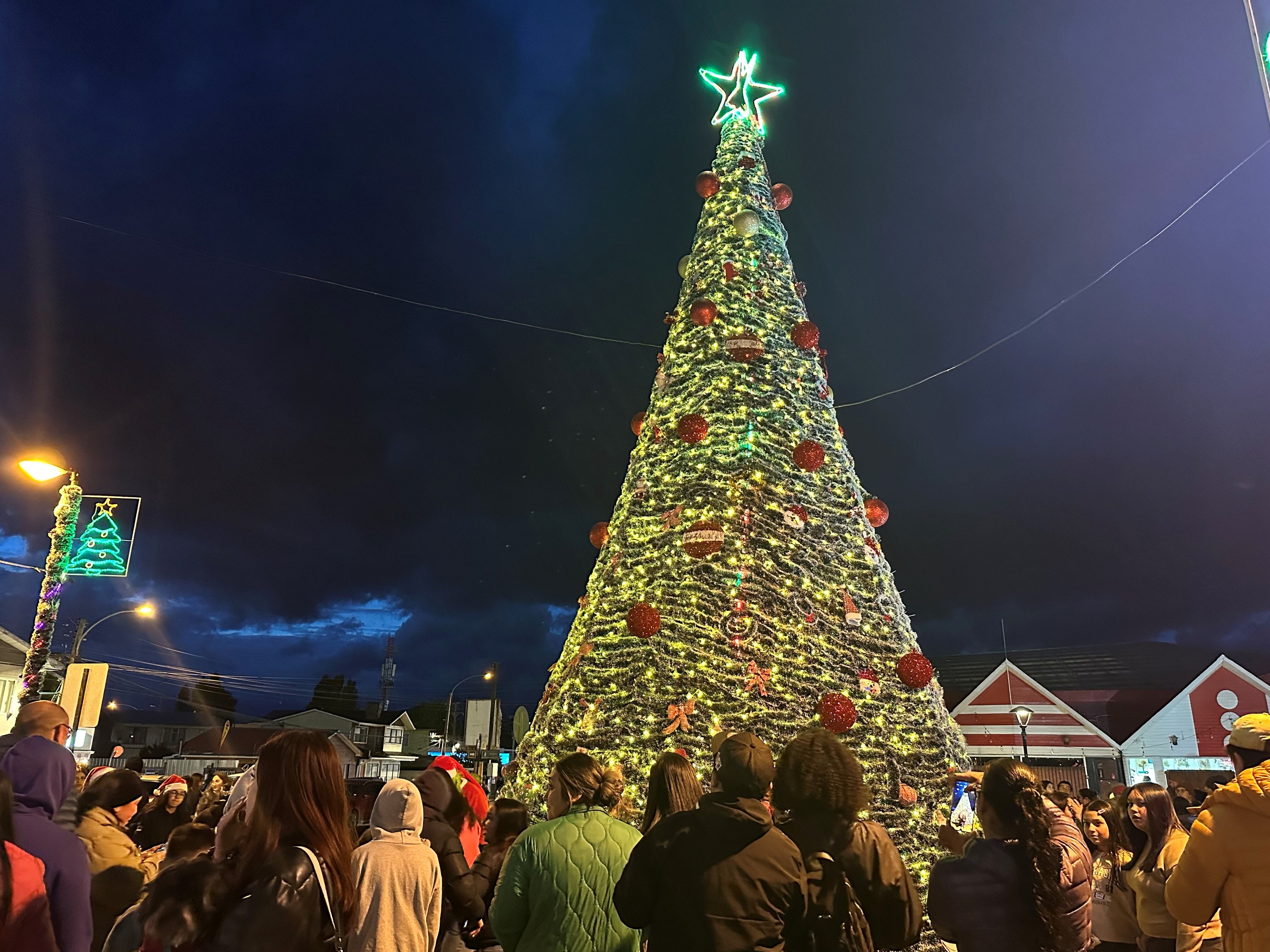Puerto Natales se ilumina: Se encendió el árbol de Navidad