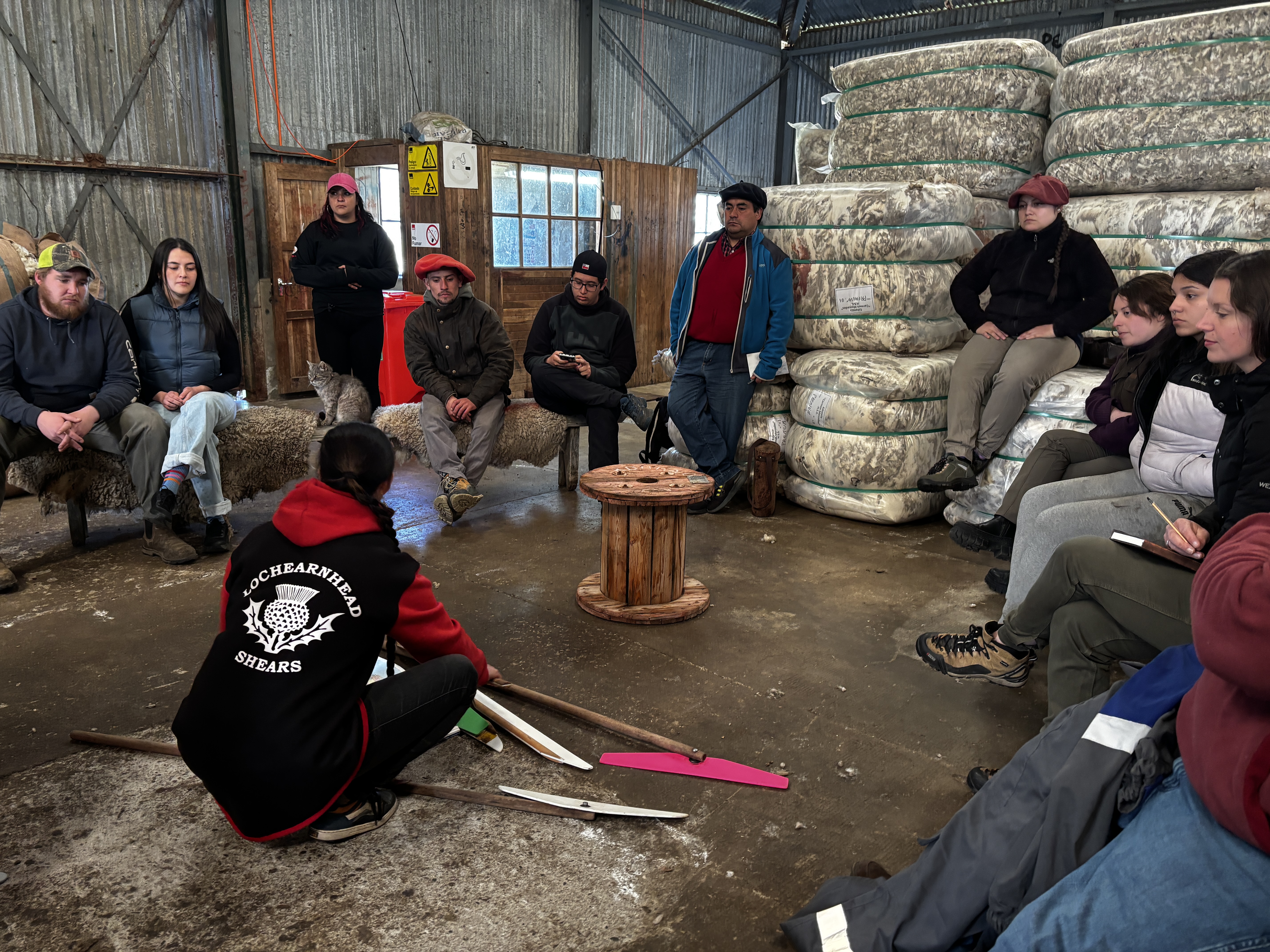 Municipalidad de Laguna Blanca impulsa inédita capacitación en Esquila y Acondicionamiento de Lanas en Magallanes