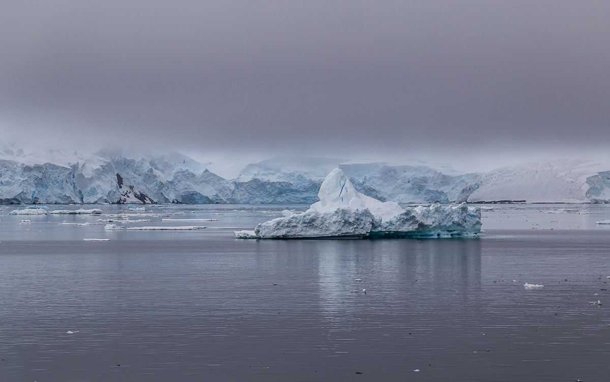 INACH se adjudica importante proyecto para realizar secuenciación genética en la Antártica