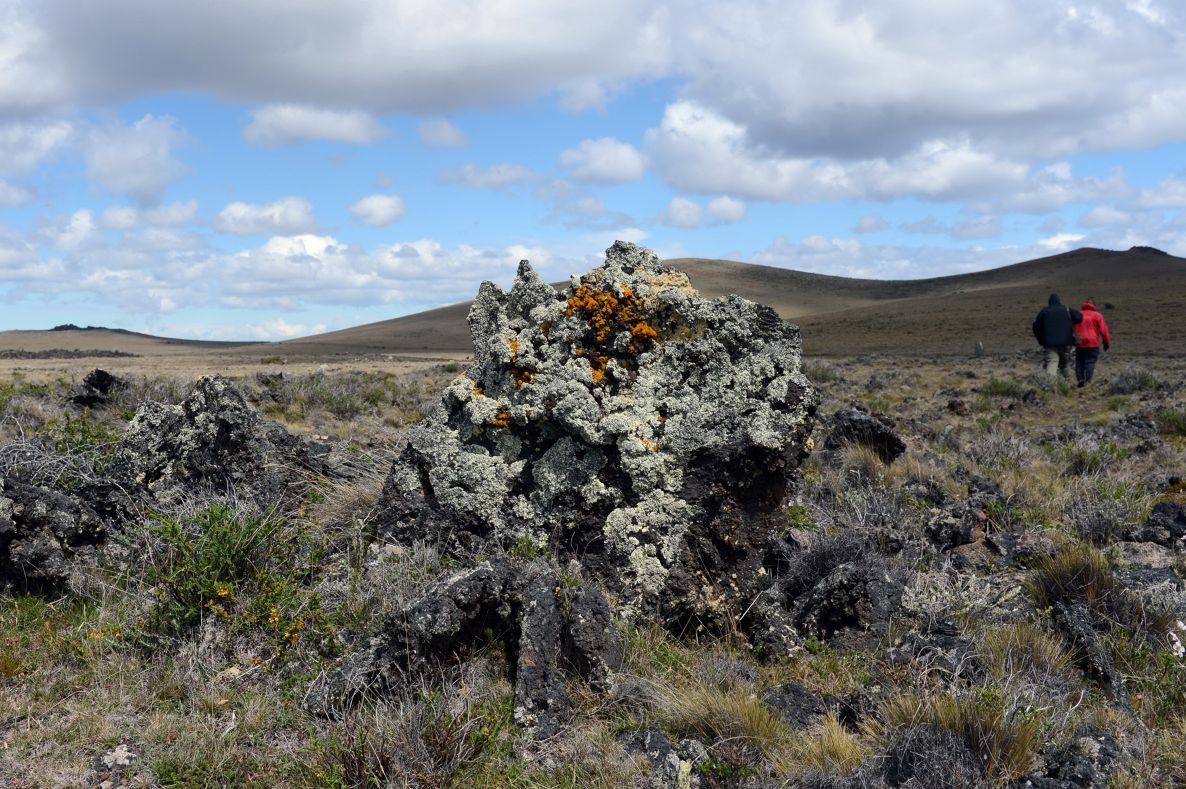Simposio de Ciencias de la Tierra | Patrimonio geológico en discusión: qué se conserva, por qué y cómo