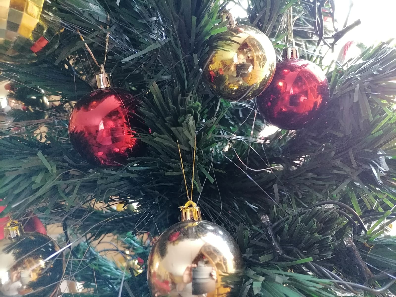 Feliz Navidad les desea Ovejero Noticias