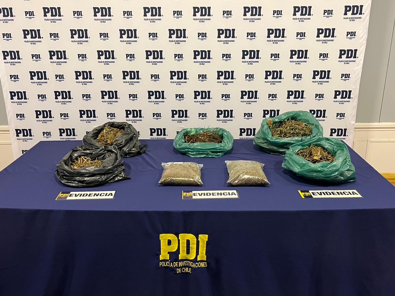 PDI Punta Arenas incauta cannabis sativa en parque Chabunco