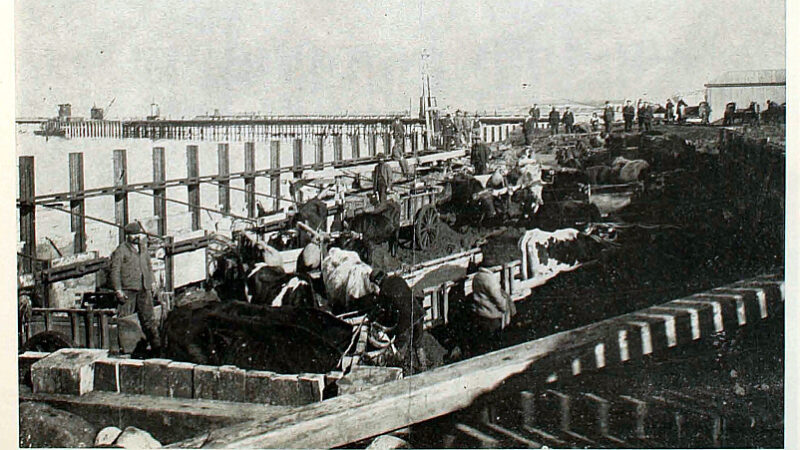 El trabajo en los muelles de Punta Arenas a fines del siglo XIX | Historia y Memoria