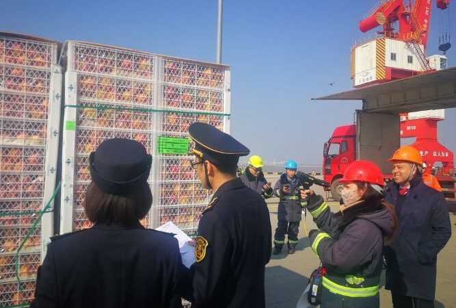 Aproximadamente 7.600 toneladas de frutas frescas chilenas completan trámites aduaneros en puerto de Tianjin en China