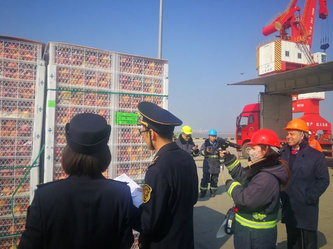 Aproximadamente 7.600 toneladas de frutas frescas chilenas completan trámites aduaneros en puerto de Tianjin en China