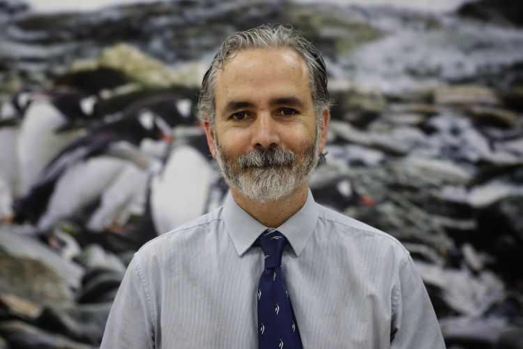 Seis nuevos proyectos “Anillos de Investigación en Áreas Temáticas” potenciarán el estudio de la Antártica y sus ecosistemas
