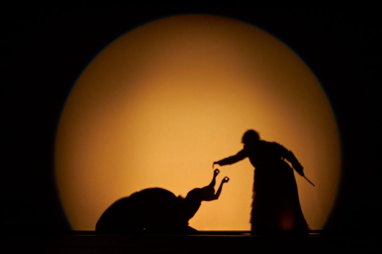 Aclamados montajes nacionales y una obra mexicana tendrá Cielos del Infinito, el festival de teatro más austral del mundo