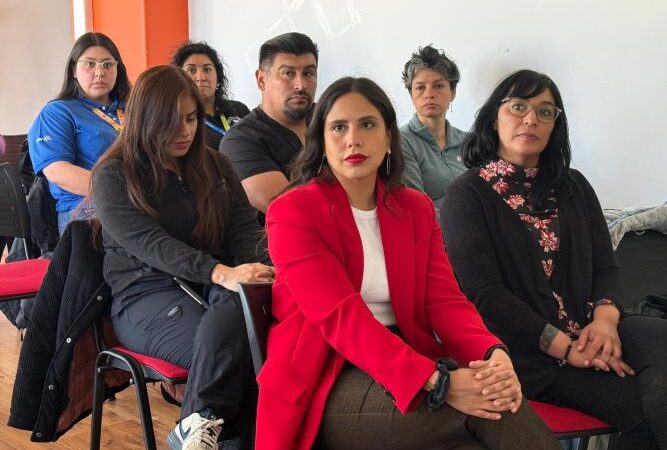 Gratuito, online y abierto a la ciudadanía: SEREMI de Justicia y del Trabajo lanzan en Magallanes curso virtual sobre Derecho al Trabajo